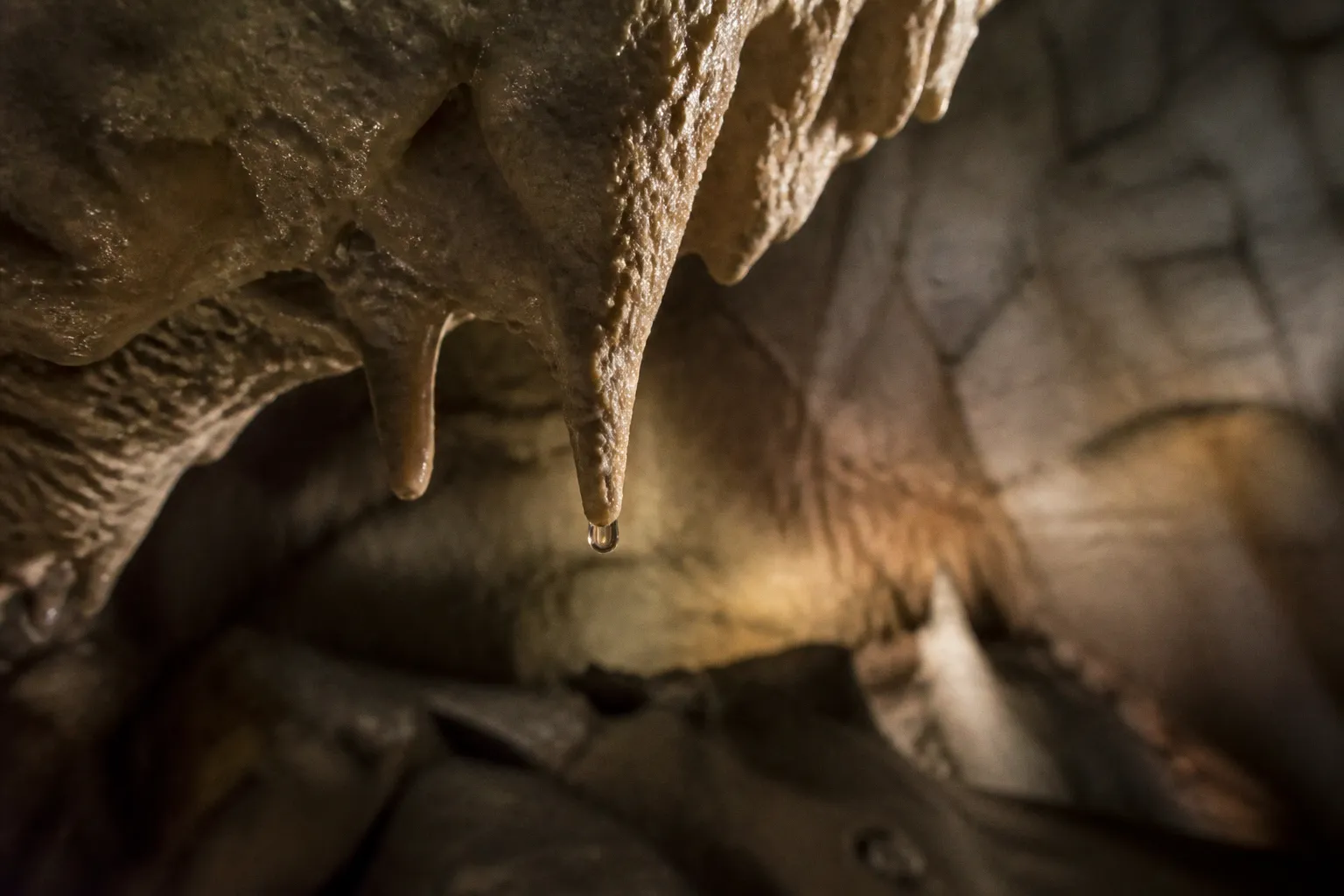 Grottes de l'Ariège : quel site visiter selon vos envies ?